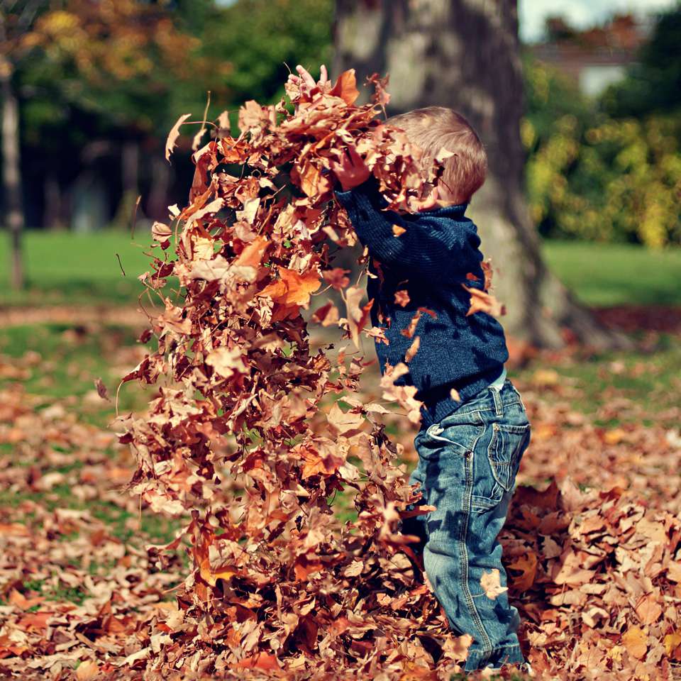 Как записаться в наш садик?